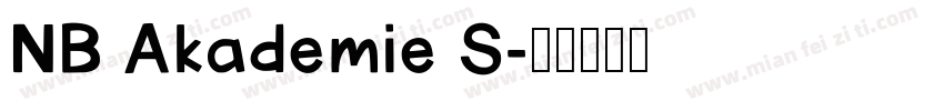 NB Akademie S字体转换